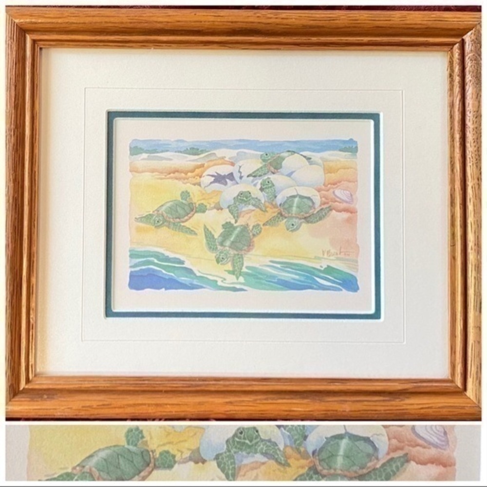 Turtle Nestling by Paul Brent Framed Art Print 11 1/2” W x 9 1/2” H